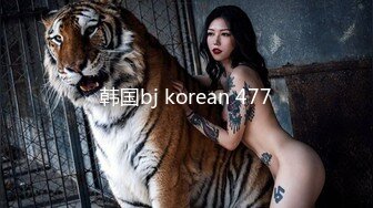 韩国bj korean 477