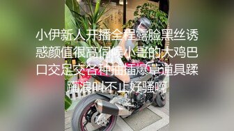 后入情趣内裤骚货