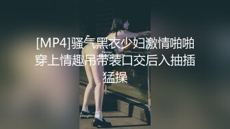 [MP4]骚气黑衣少妇激情啪啪穿上情趣吊带装口交后入抽插猛操