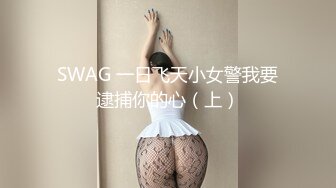 SWAG 一日飞天小女警我要逮捕你的心（上）