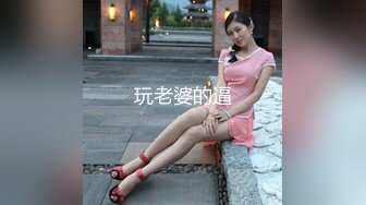 玩老婆的逼