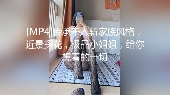 [MP4]传承千人斩家族风格，近景探花，极品小姐姐，给你想看的一切