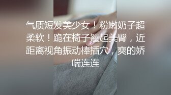 【hhhqzp】 原创大神E级大馒头巨乳妹子 和男友啪啪做爱 大奶一个手抓不过来小穴紧凑 (3)