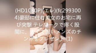 (HD1080P)(エレ)(fc2993004)豪邸に住む美女のお宅に再び突撃 テレワークで疼く股間に、太くて固いメンズのチンポをプレゼント (1)