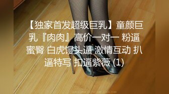 【淫妻绿奴❤️性爱故事甄选】淫计训母狗❤️调教极品丰臀漂亮女友 还乱伦玩嫂子 大神自剪辑 中文字幕 高清720P版