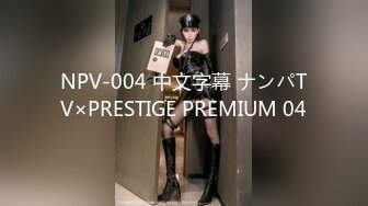 NPV-004 中文字幕 ナンパTV×PRESTIGE PREMIUM 04